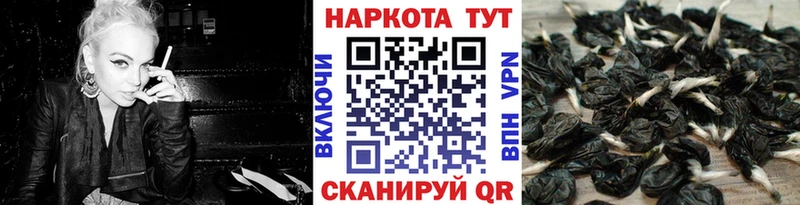 Цена Старый Крым A PVP  Конопля  Меф мяу мяу  Гашиш 
