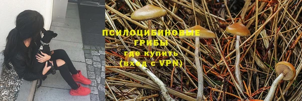 прущая мука Арсеньев