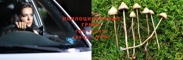 прущая мука Арсеньев
